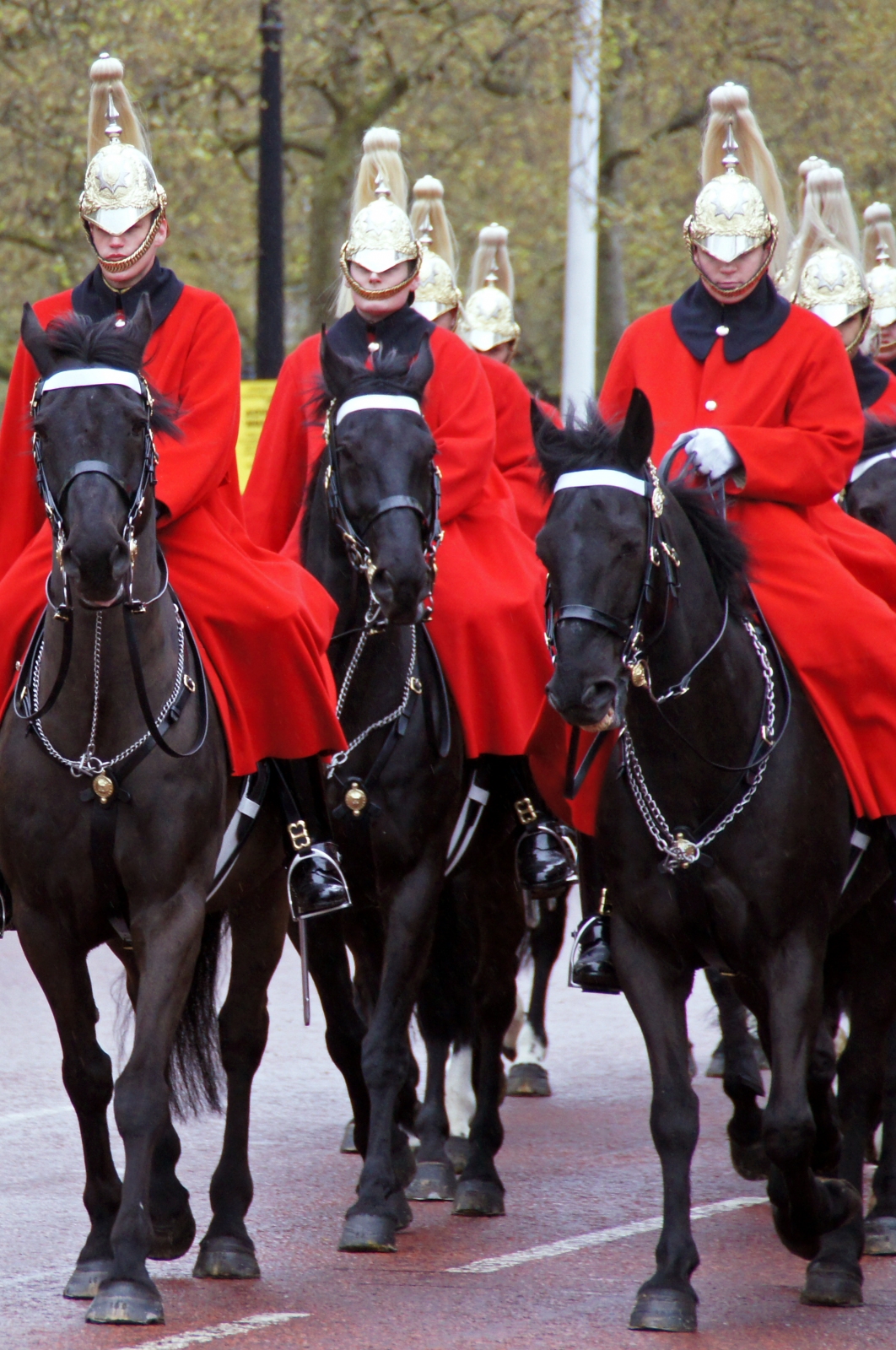 The Royal Horse Guards