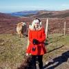 Lisa and the Highland Cattle