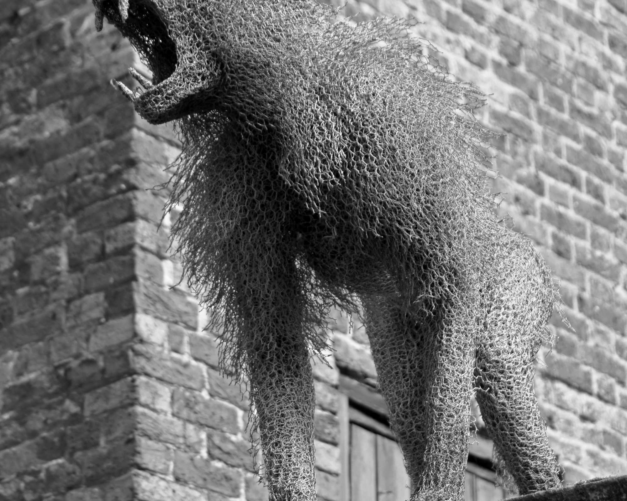 Monkey at the Tower of London